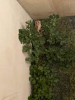 20250925_181340000_iOS 2.jpg